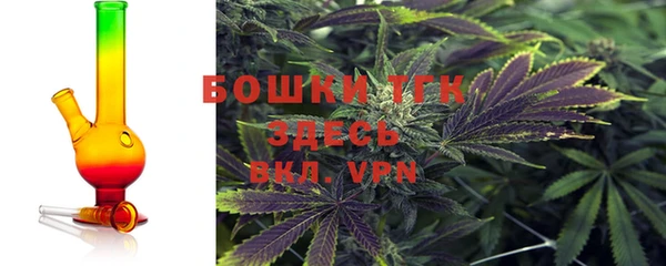 винт Надым