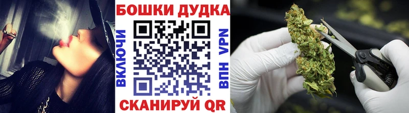 где продают наркотики  Серафимович  Бошки марихуана Bruce Banner 